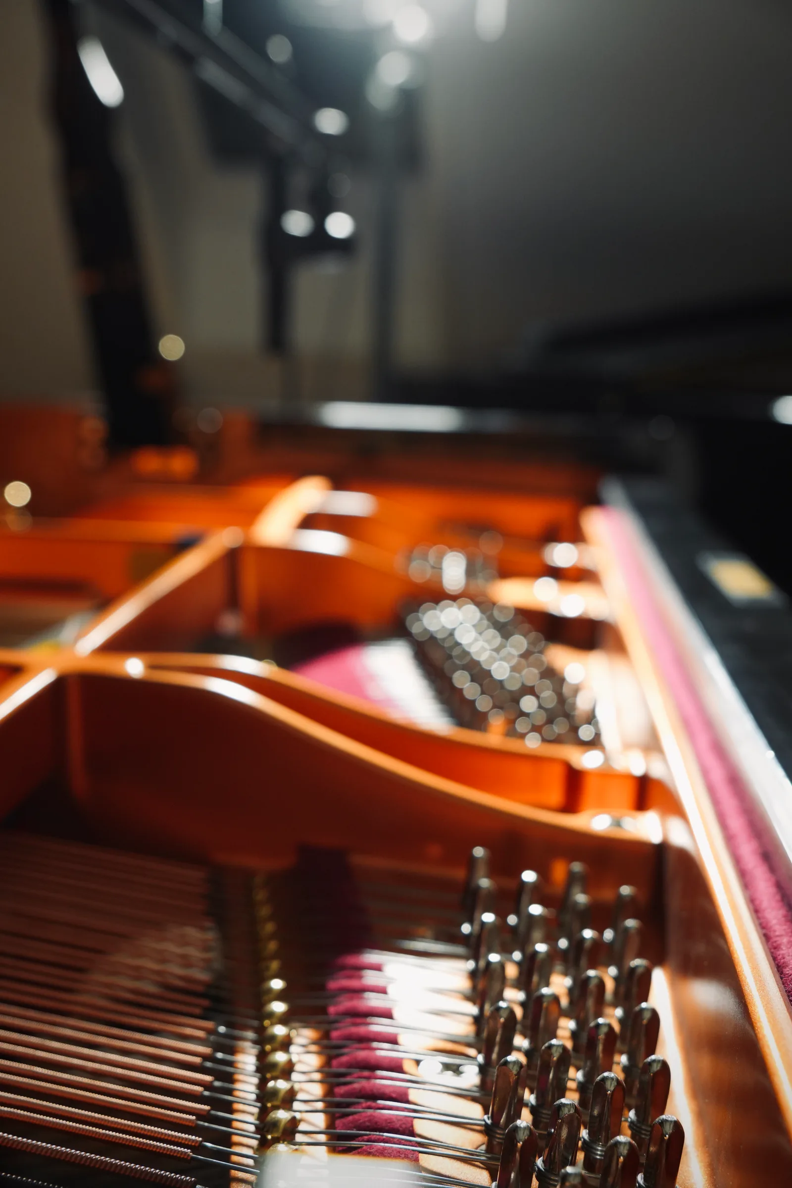 Le corde e le caviglie di un pianoforte a coda.